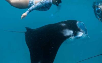 Aventure Snorkeling Maldives 2026