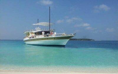Flying Fish Maldives