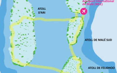 Croisière snorkeling Ari Felidhoo